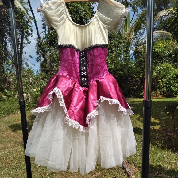 Renaissance Costume Pink Maroon Cream Dress Tulle Ruffle - Picture 6 of 11